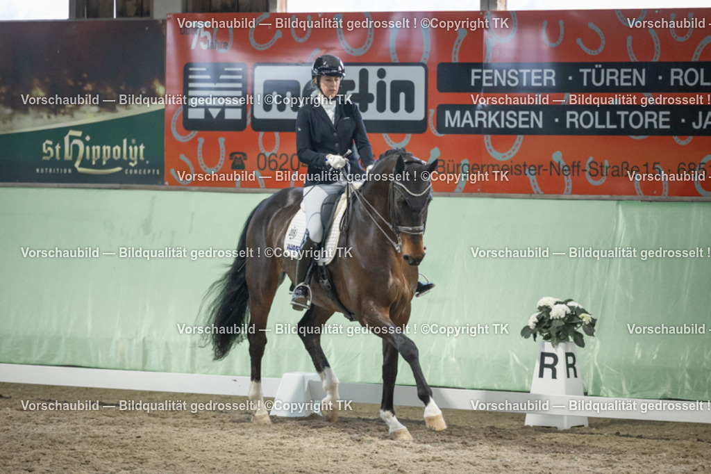 _D5A3601 | Emotionale Pferde- & People-Fotografie rund um Heidelberg, Leimen & Umgebung. Natürliche Fotos von Pferd, Mensch & Familie. Jetzt Termin sichern!