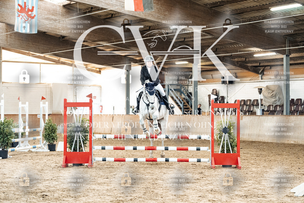 CK904359 | Turnierfotografie Pferdefotografie Trier Rheinland-Pfalz Pferdesport Reitsport Tierfotografie Sportfotografie Pferdevideo Pferdevideografie Equestrianvideography equestrianphotography  - Realized with Pictrs.com