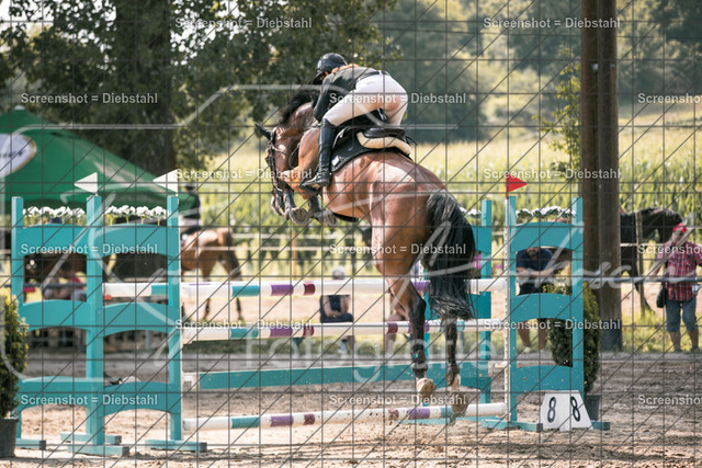 _W6A1351 | ronjaprokoschfotografie - Realisiert mit Pictrs.com