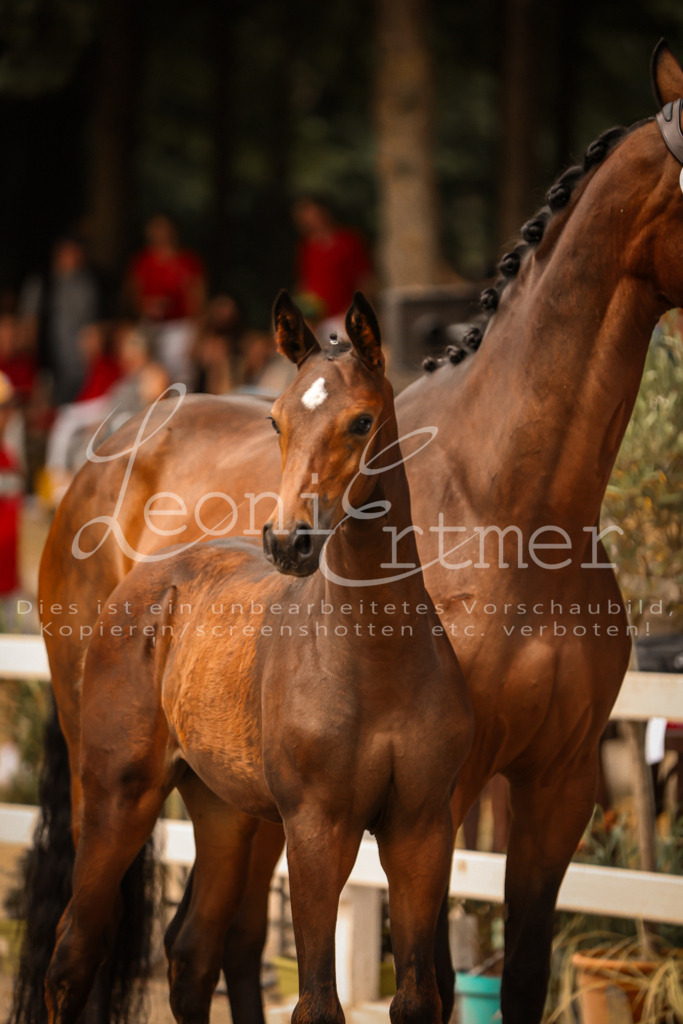 SaPA00212 | Leoni Ertmer Photography - Realisiert mit Pictrs.com