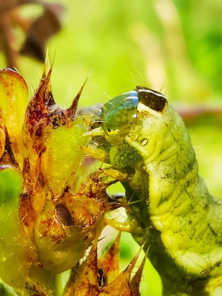 PSX_20220908_230058 | mtkfoto_ - Realisiert mit Pictrs.com