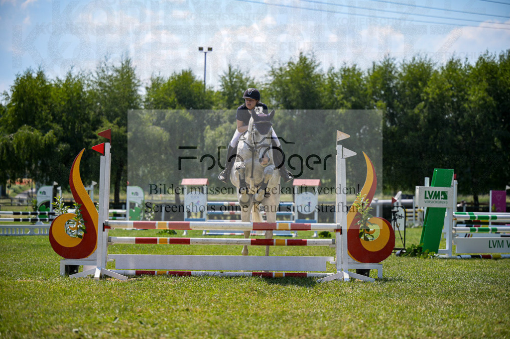 Reitturnier Voxtrup | Entdecke hochwertige Reitturnierfotos von Foto Oger. Professionell, emotional und authentisch – jetzt Lieblingsmomente im Shop bestellen.Deutschlandweite Turnierfotografie. - Realized with Pictrs.com