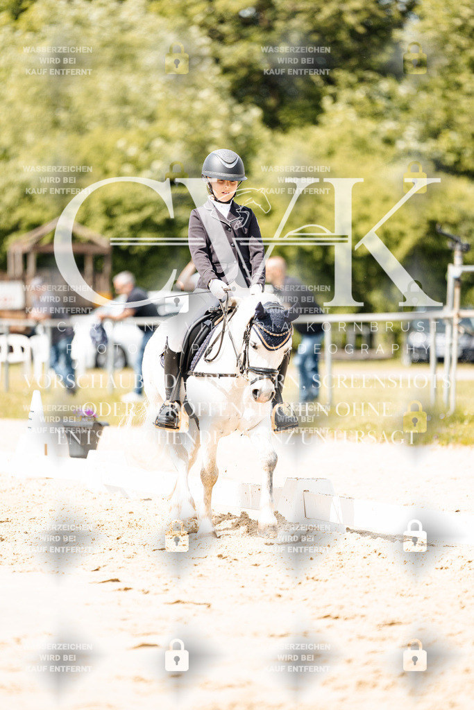 CK901782 | Turnierfotografie Pferdefotografie Trier Rheinland-Pfalz Pferdesport Reitsport Tierfotografie Sportfotografie Pferdevideo Pferdevideografie Equestrianvideography equestrianphotography  - Realisiert mit Pictrs.com