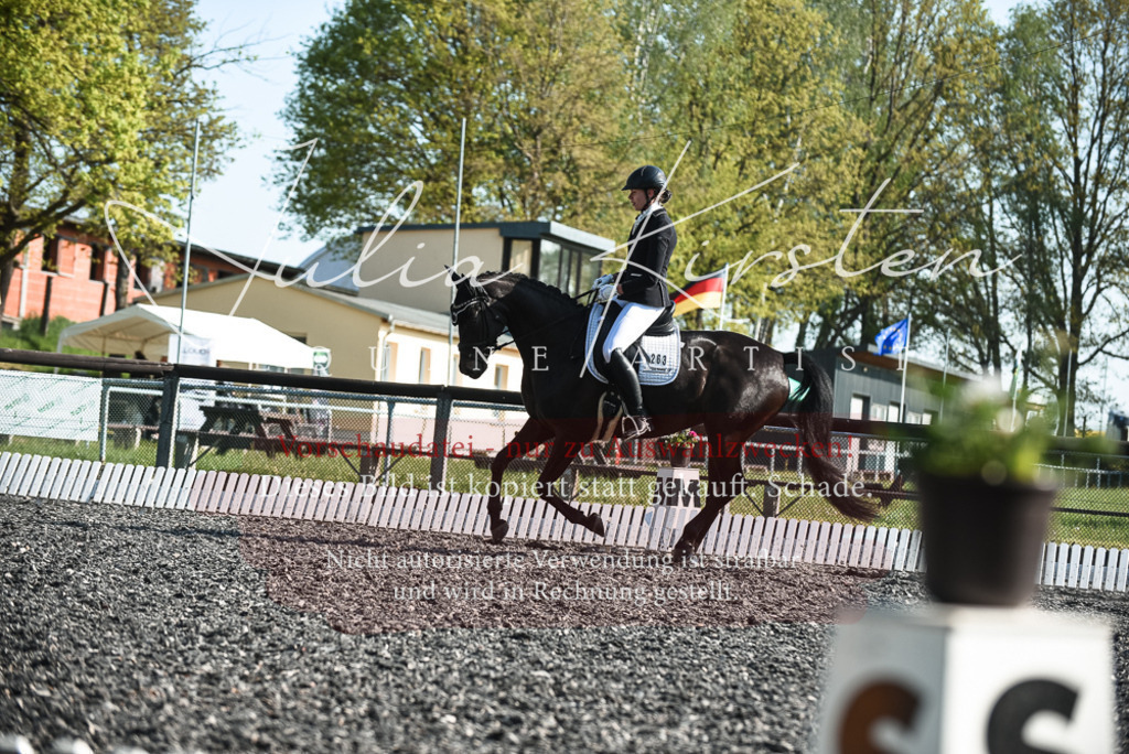 DSC_8381 | Pferde- und Turnierfotografie in Westsachsen. Pferdeportraits, Auftragszeichnungen und intuitive Kunst.