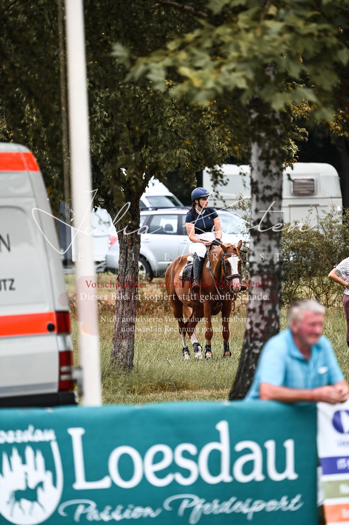 DSC_9323 | Pferde- und Turnierfotografie in Westsachsen. Pferdeportraits, Auftragszeichnungen und intuitive Kunst.