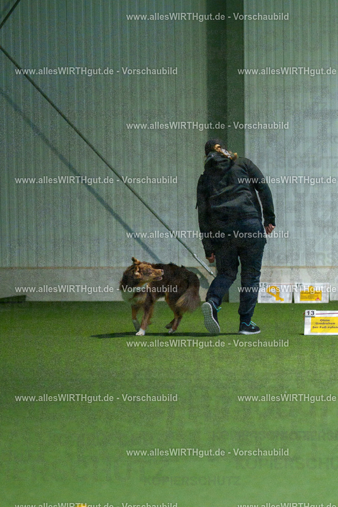 7R502839 | Professionelle Tierfotografie in Mönchengladbach von Daniel Wirth (allesWIRTHgut). Liebevolle & natürliche Bilder von Hunden & Katzen für unvergessliche Erinnerungen.