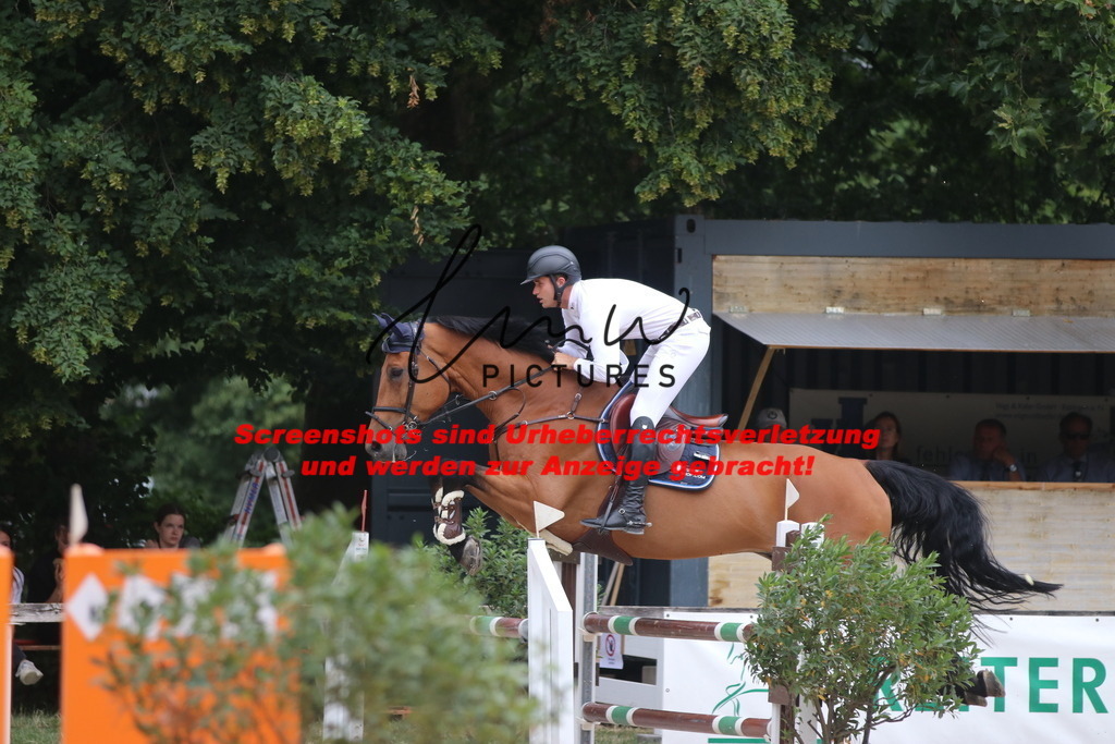 IMG_8141 | lmwpictures - Realisiert mit Pictrs.com