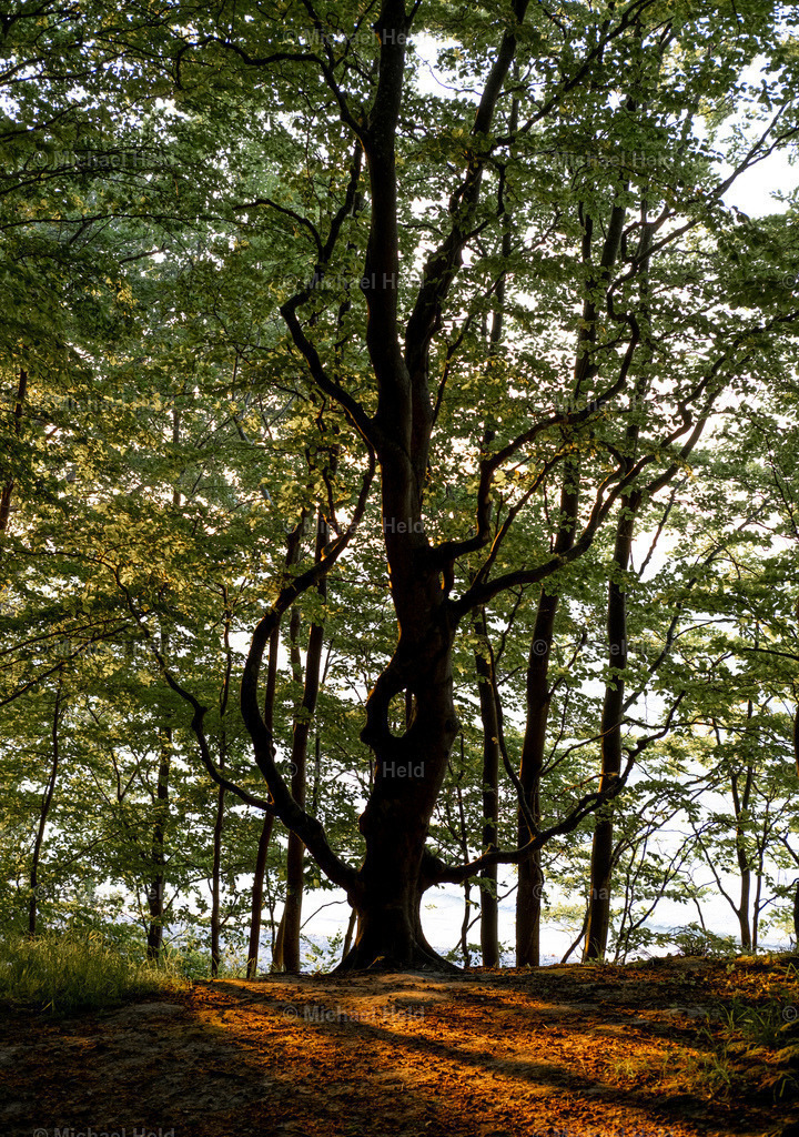 Ostsee_005 | Profi-Fotos über Schleswig-Holstein und dem ganzen Norden für Büro, Hotel, Ferienhaus, Ferienwohnung, Wohnzimmer, Arztpraxis uvm. jetzt bestellen. - Realisiert mit Pictrs.com