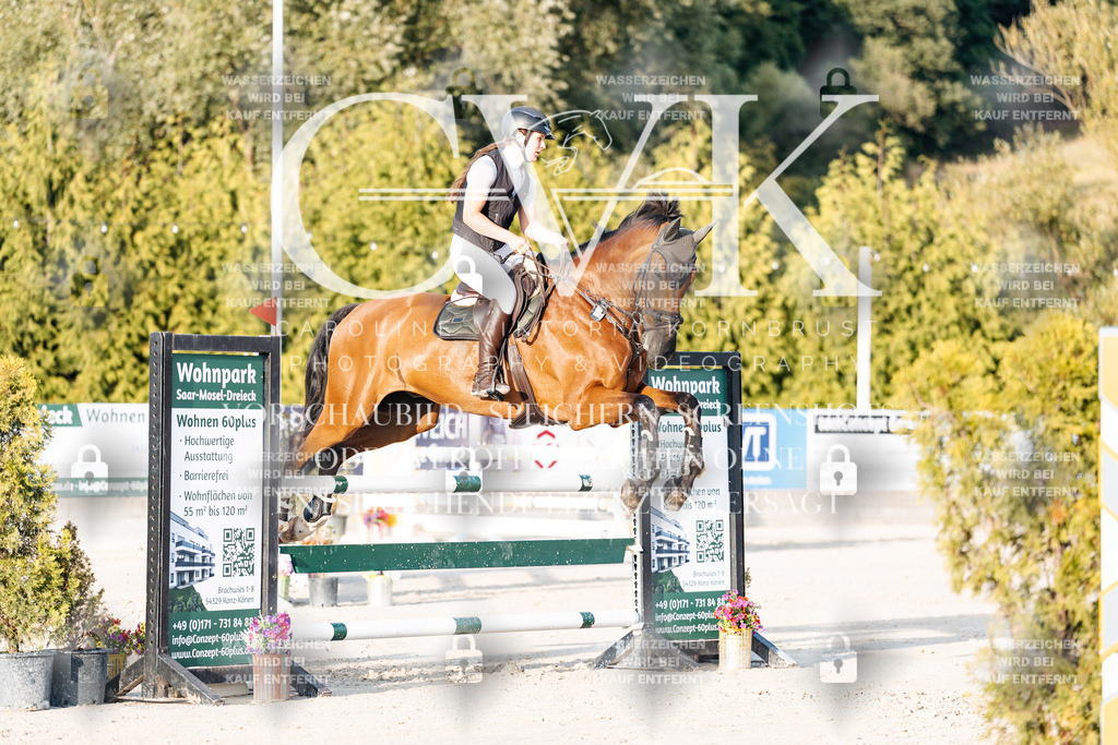 CK900819 | Turnierfotografie Pferdefotografie Trier Rheinland-Pfalz Pferdesport Reitsport Tierfotografie Sportfotografie Pferdevideo Pferdevideografie Equestrianvideography equestrianphotography  - Realisiert mit Pictrs.com