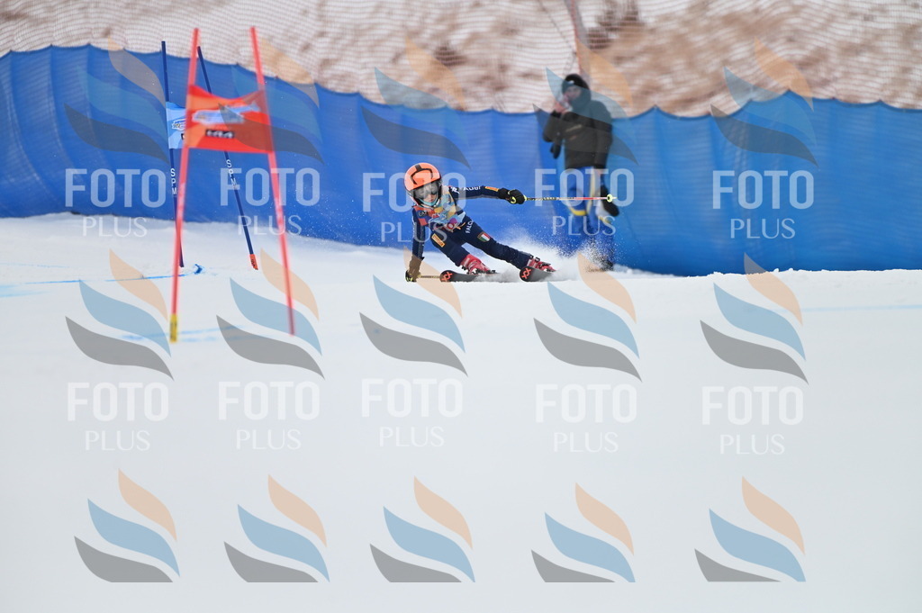 BGV_9365 | holidayphoto