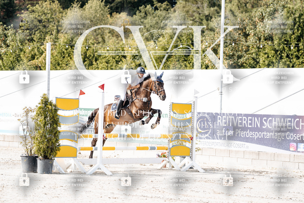 CK905448 | Turnierfotografie Pferdefotografie Trier Rheinland-Pfalz Pferdesport Reitsport Tierfotografie Sportfotografie Pferdevideo Pferdevideografie Equestrianvideography equestrianphotography  - Realisiert mit Pictrs.com