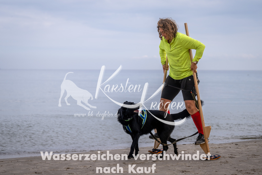 1213_ZZ90416 | kk-dogfotos