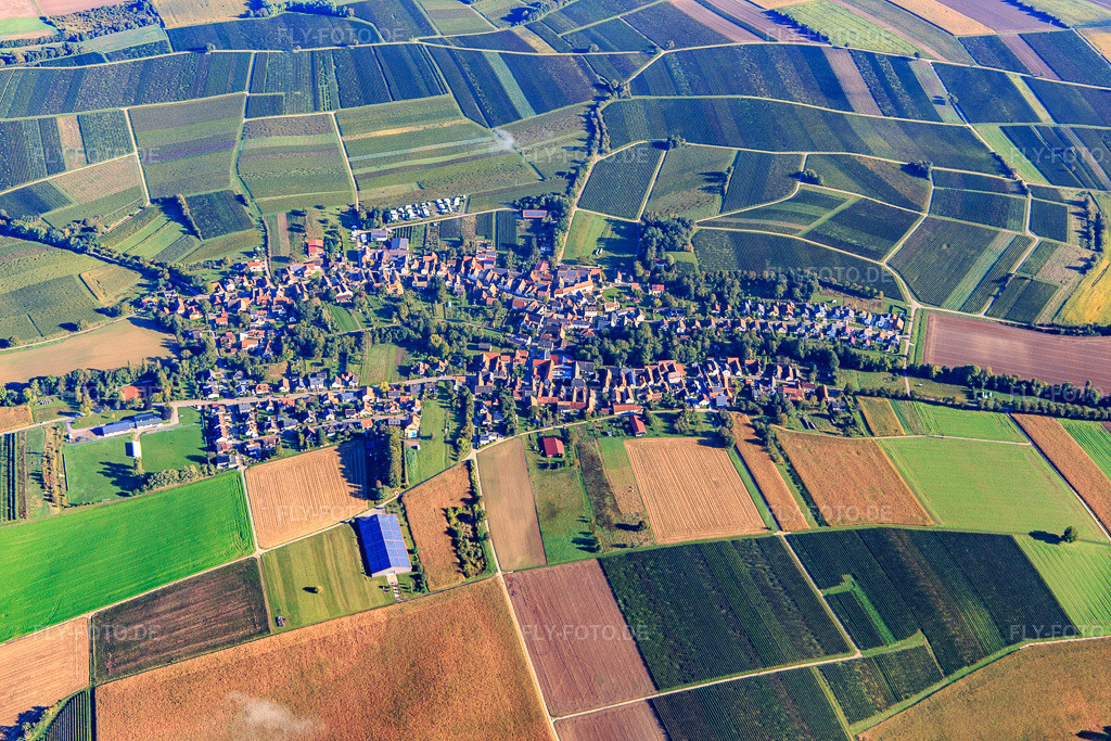 Luftbild: Ortsansicht von Süden in Dierbach im Bundesland Rheinland-Pfalz in Deutschland. Foto: IMG_143480.jpg vom 29.09.2024 durch Werner Riehm/FLY-FOTO.de