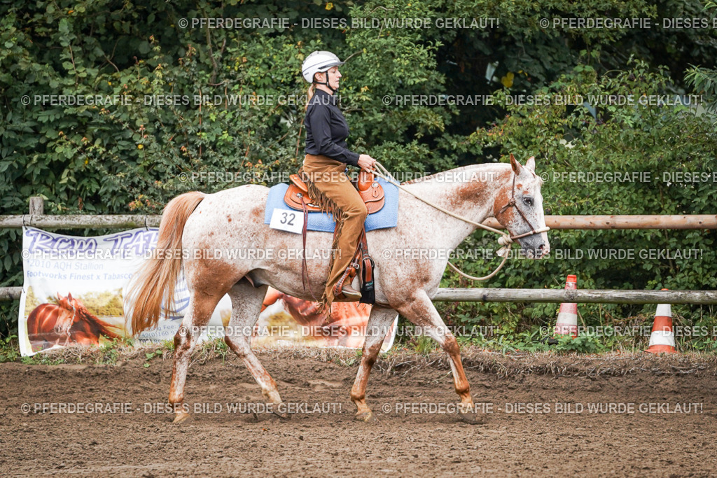 DSC02024 | Pferdegrafie