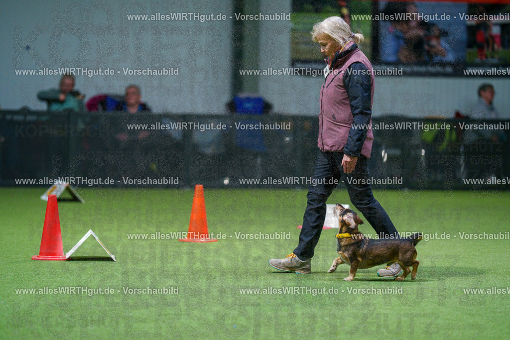 7R505869 | Professionelle Tierfotografie in Mönchengladbach von Daniel Wirth (allesWIRTHgut). Liebevolle & natürliche Bilder von Hunden & Katzen für unvergessliche Erinnerungen.