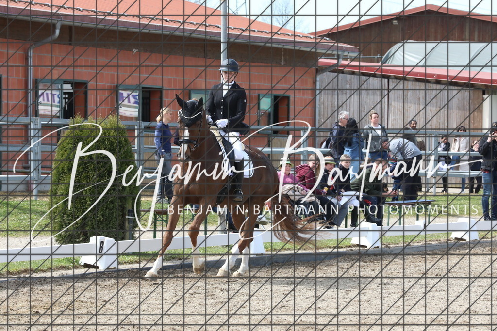 AZ2A3776 | Benjamin Bartmann Photomoments