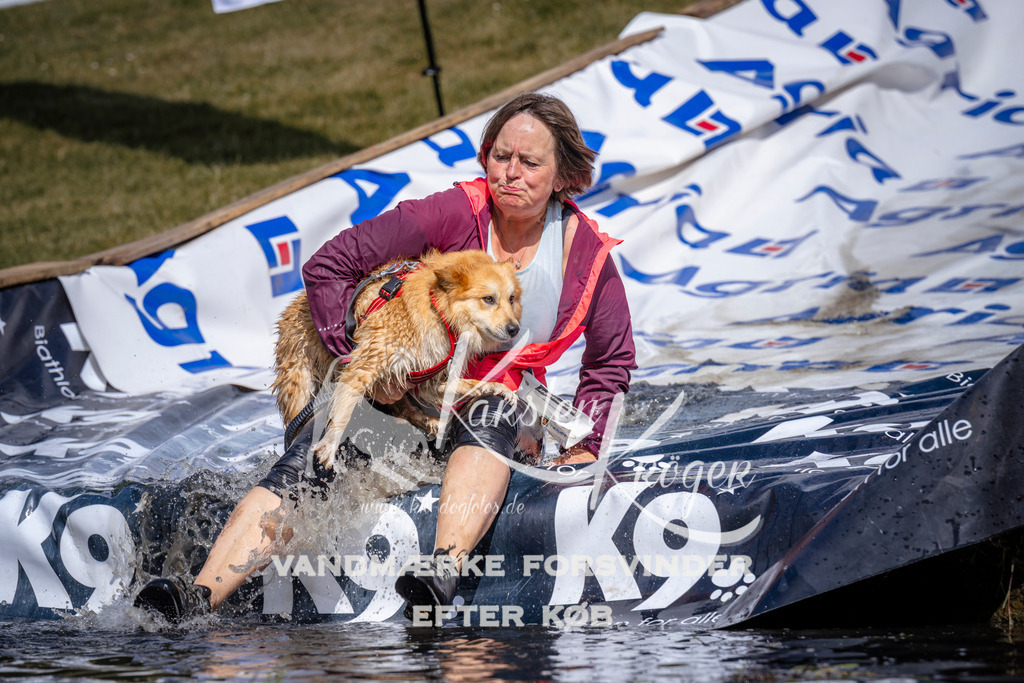 _ZZ925100927 | kk-dogfotos