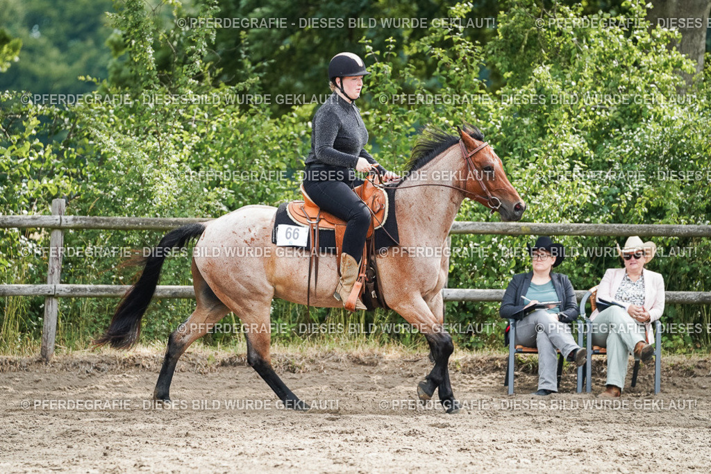 DSC04484 | Pferdegrafie