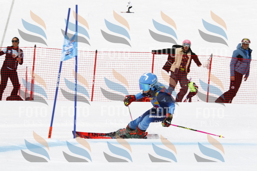 _U3G6045 | holidayphoto