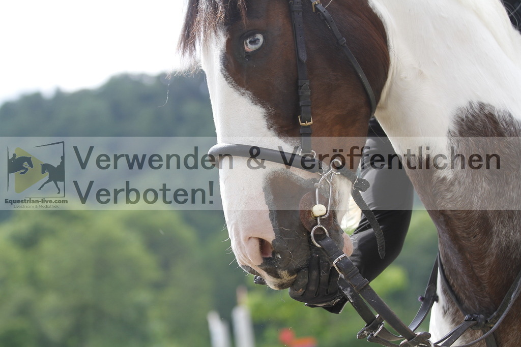 _MG_9783 | equestrian-live-com