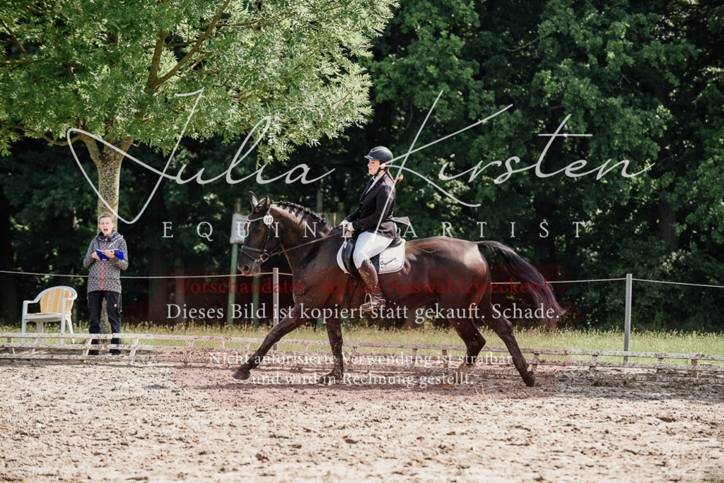 DSC_0222 | Pferde- und Turnierfotografie in Westsachsen. Pferdeportraits, Auftragszeichnungen und intuitive Kunst.