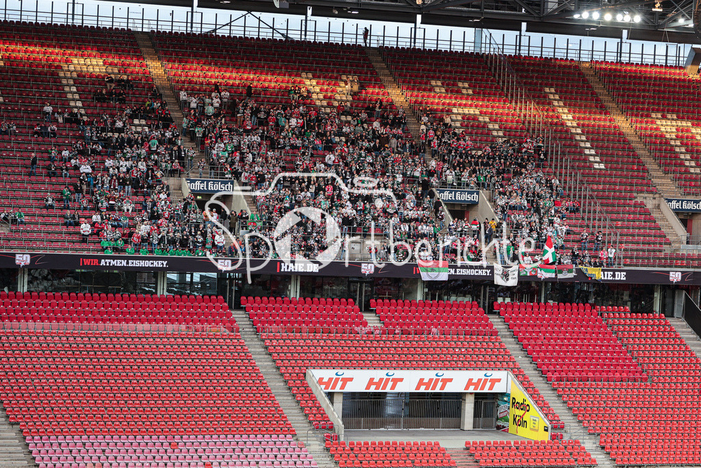 Kölner Haie - Augsburger Panther | Die Fans der Augsburger Panther in Koeln