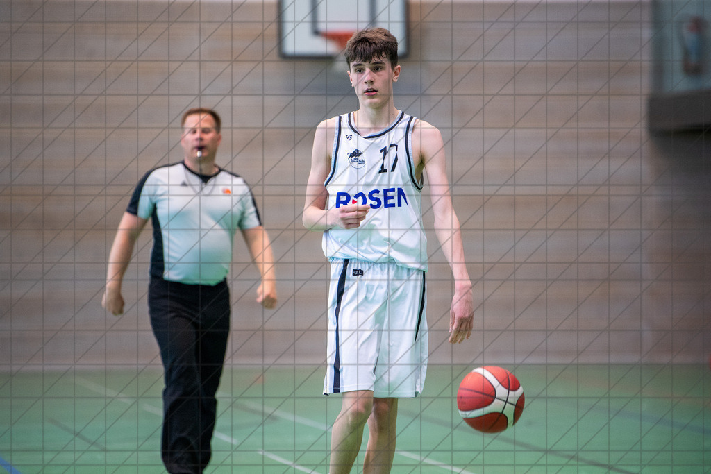 @Martin König_20240623__DSC2510 | bullenfotos|de - Realisiert mit Pictrs.com
