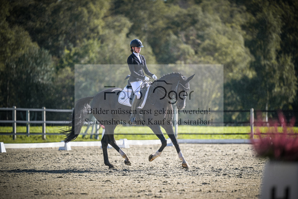 DOS_2453 | Entdecke hochwertige Reitturnierfotos von Foto Oger. Professionell, emotional und authentisch – jetzt Lieblingsmomente im Shop bestellen.Deutschlandweite Turnierfotografie. - Realisiert mit Pictrs.com