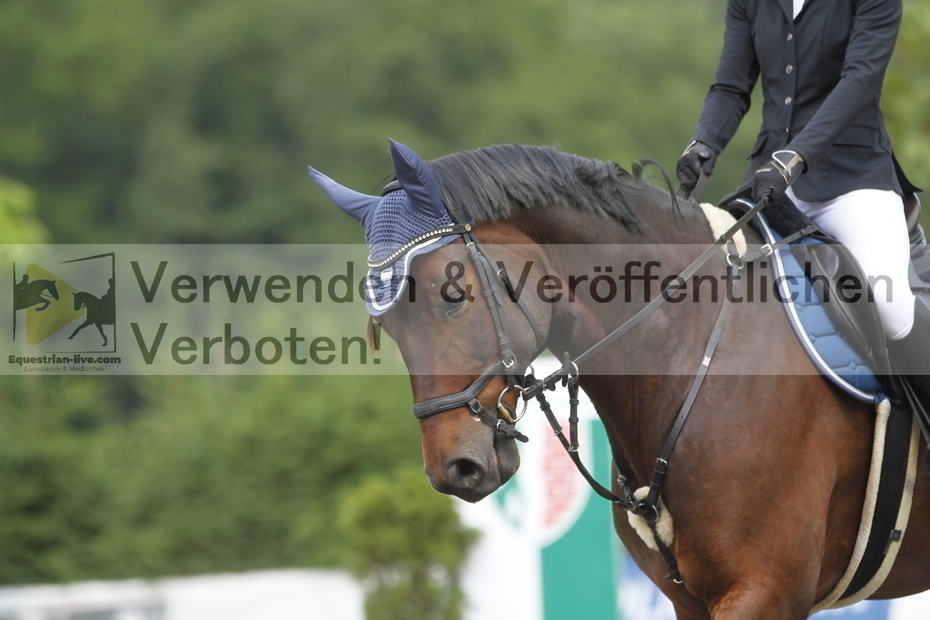 _MG_4553 | equestrian-live-com