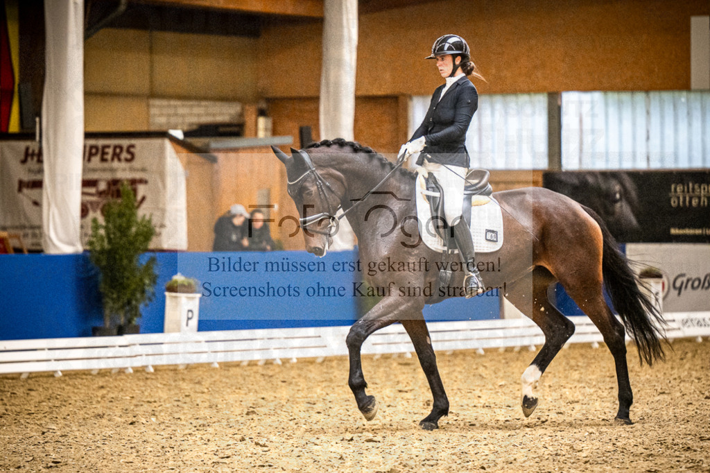 DOS_0810 | Entdecke hochwertige Reitturnierfotos von Foto Oger. Professionell, emotional und authentisch – jetzt Lieblingsmomente im Shop bestellen.Deutschlandweite Turnierfotografie. - Realisiert mit Pictrs.com