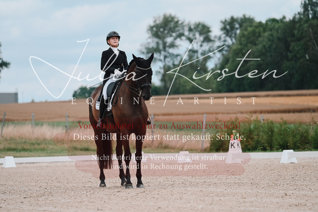 DSC_4149 | Pferde- und Turnierfotografie in Westsachsen. Pferdeportraits, Auftragszeichnungen und intuitive Kunst.