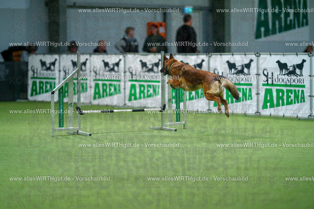 7R505600 | Professionelle Tierfotografie in Mönchengladbach von Daniel Wirth (allesWIRTHgut). Liebevolle & natürliche Bilder von Hunden & Katzen für unvergessliche Erinnerungen.