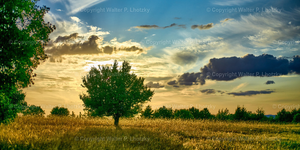 SommerabendRotenfels | wlstudio - Realisiert mit Pictrs.com