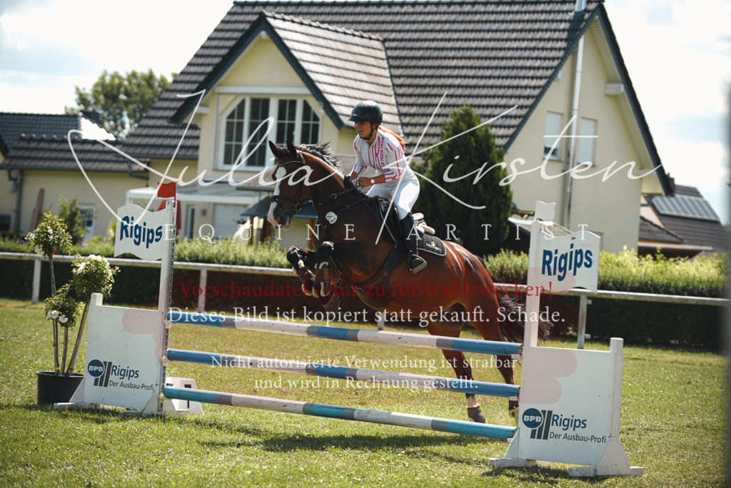 DSC_6561 | Pferde- und Turnierfotografie in Westsachsen. Pferdeportraits, Auftragszeichnungen und intuitive Kunst.
