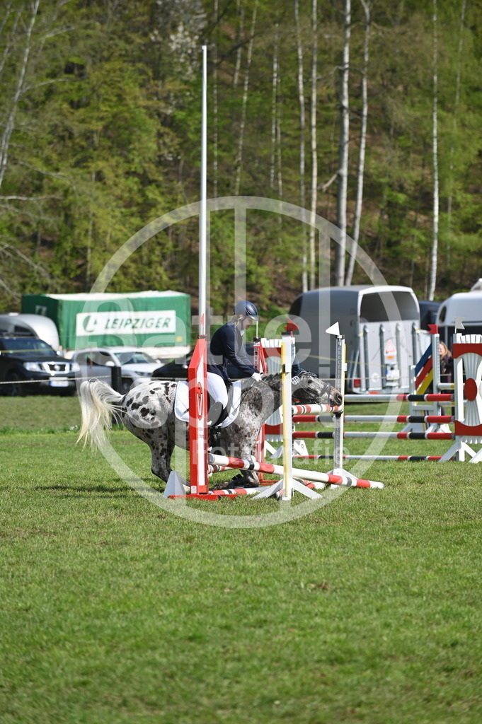 DSC_0850 | sattelsport - Realisiert mit Pictrs.com