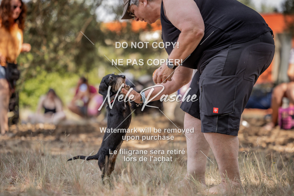 nelerasche_soDD2_25 | nelerasche