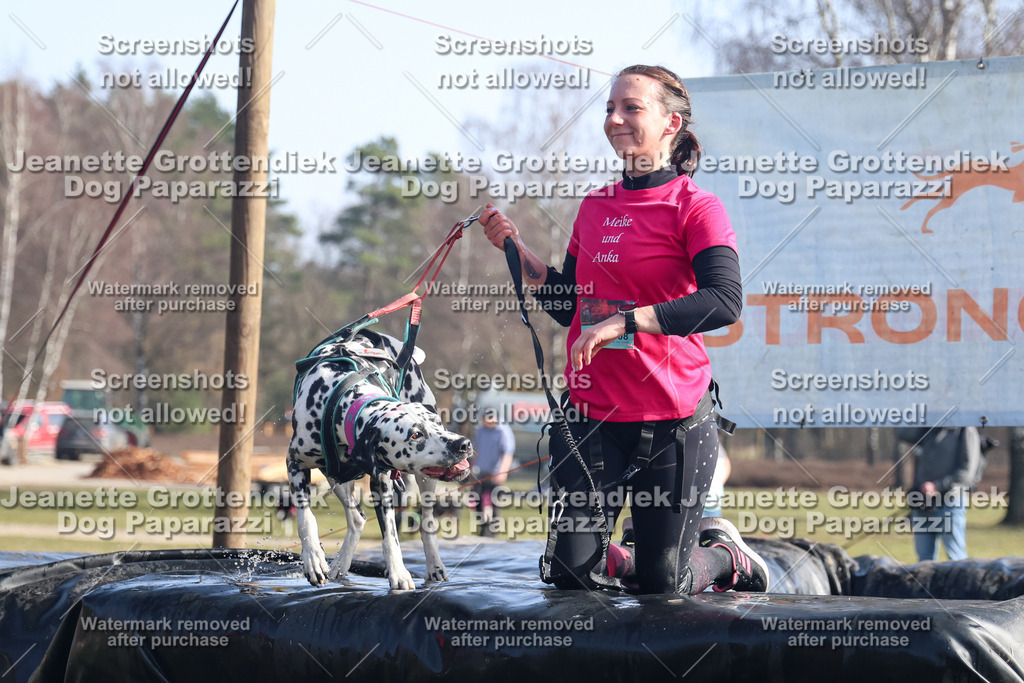 Dog Paparazzi - Strongdog North Mrz26-1475 | Dog Paparazzi Jeanette Grottendiek Fotografie & Videografie - Realisiert mit Pictrs.com