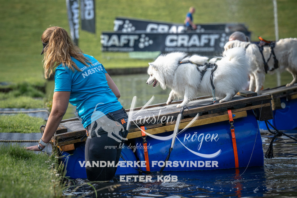 _ZZ943090714 | kk-dogfotos