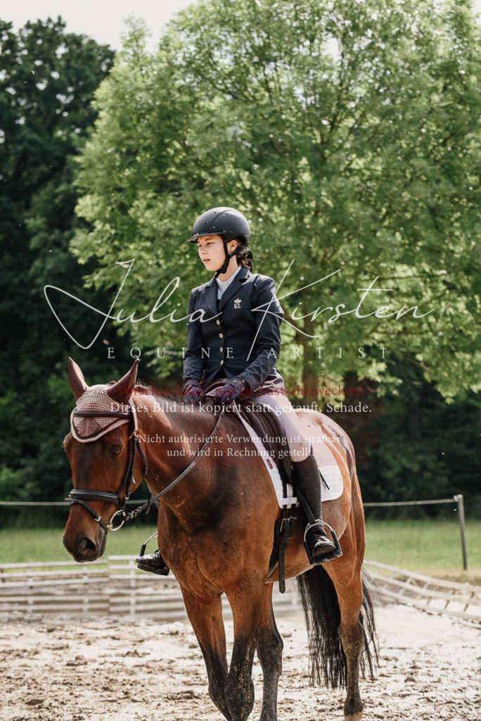 DSC_9650 | Pferde- und Turnierfotografie in Westsachsen. Pferdeportraits, Auftragszeichnungen und intuitive Kunst.