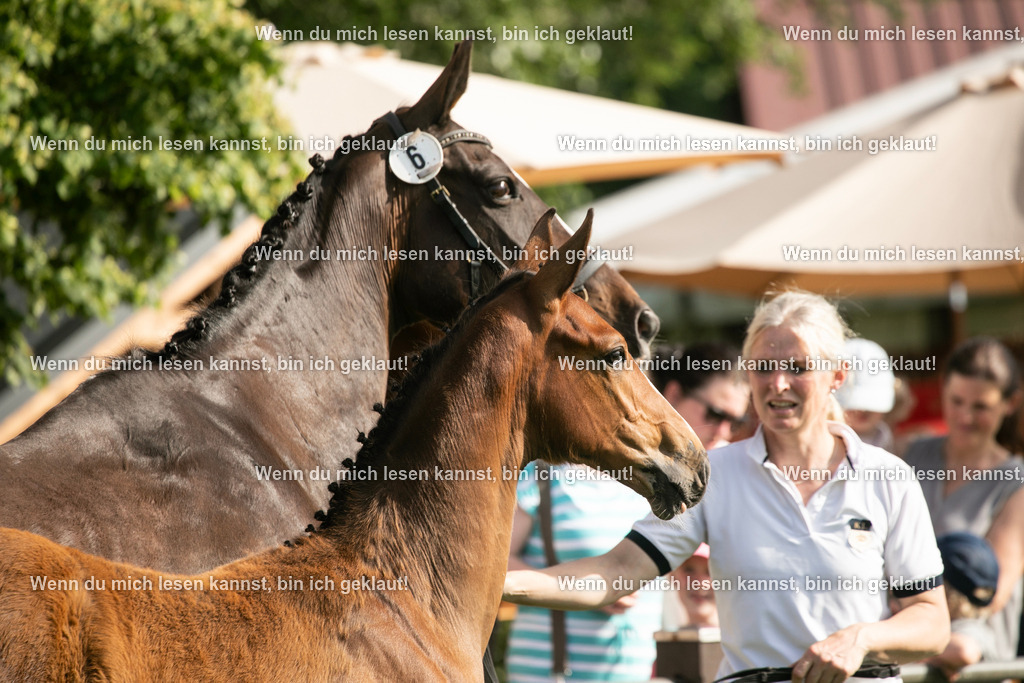 598A7031 | photographylinaismer - Realisiert mit Pictrs.com