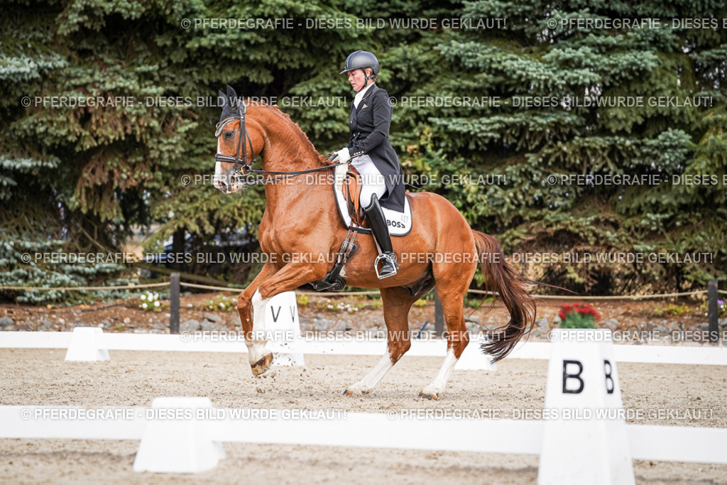 DSC06502 | Pferdegrafie