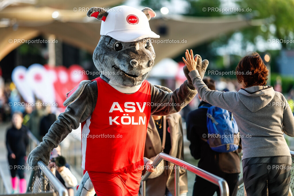 21. ASV Nachtlauf ; Köln, 08.05.24 | Impressionen vom 21. ASV Nachtlauf  am 08.05.24 in Köln (Deutschland). Foto: BEAUTIFUL SPORTS/Ulrich Faßbender