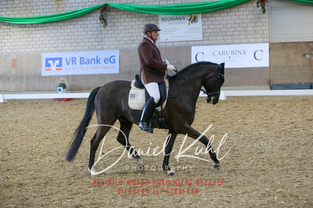 IMG_2840 | Turnierfotos kaufen im Webshop von Daniel Kuhl Photography – entdecke professionelle Reitsportfotos aus Turnieren & Events. Hochwertige Turnierbilder online bestellen & sichern. Jetzt Fotos von Reitsportturnieren kaufen!
