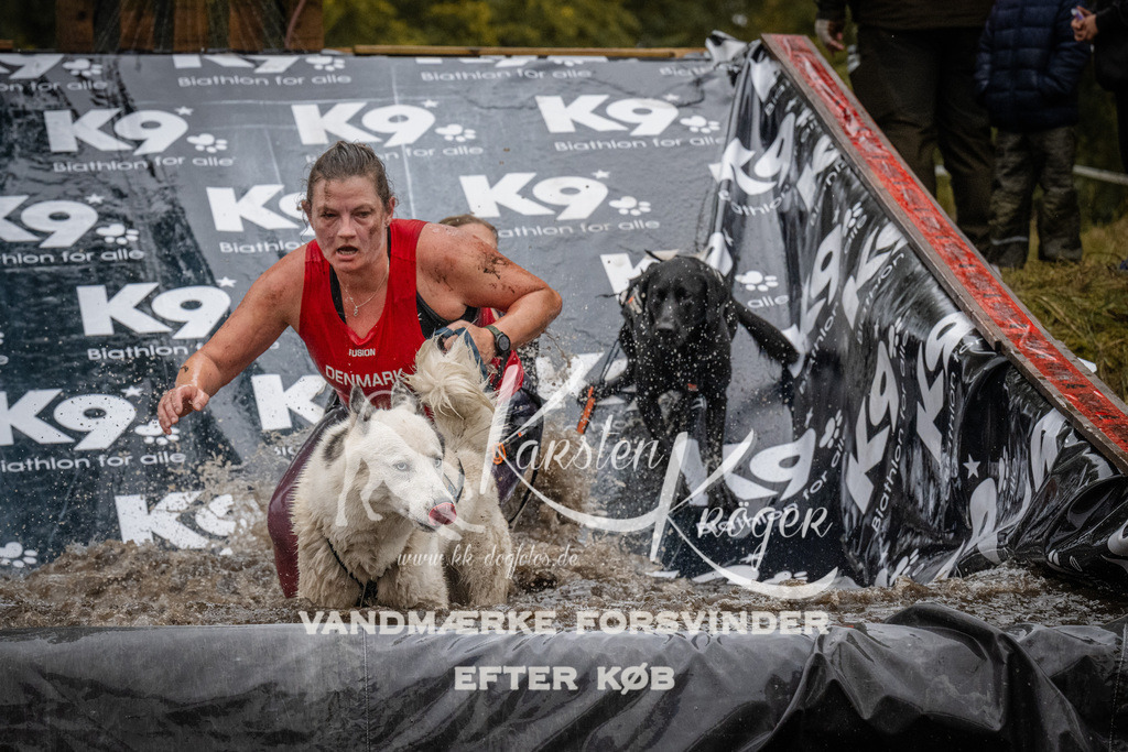 1103_ZZ91508 | kk-dogfotos