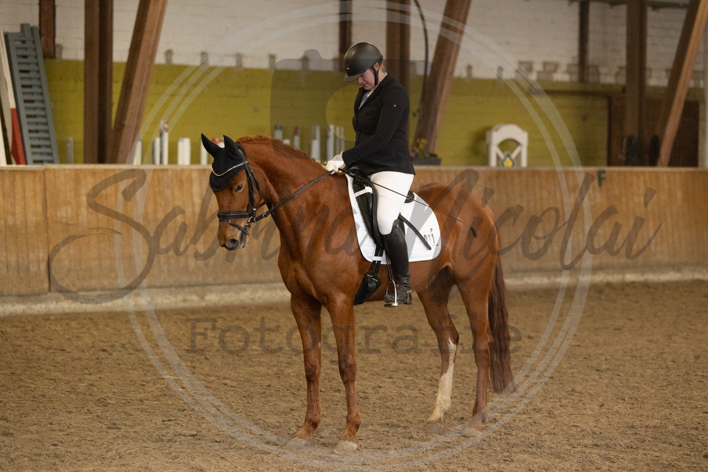 994A9377 | sabrinanicolaifotografie - Realisiert mit Pictrs.com