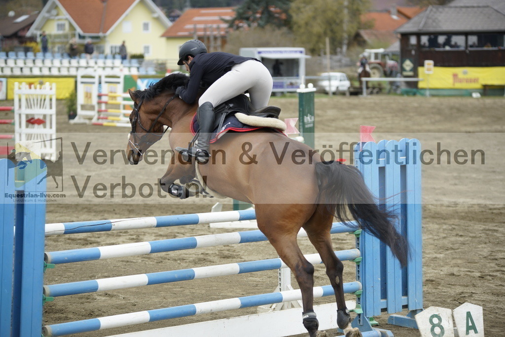 _DSC7412 | equestrian-live-com
