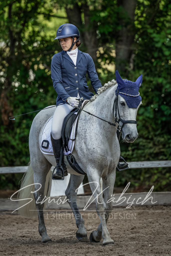 20250906-_3LI4931 | Tierfotografie Pferde, Hunde, Katzen, Haustiere.
Turnierfotografie Reitturniere, Reiten, Springreiten, Dressur in Hanau, dem Main-Kinzig-Kreis und dem Rhein-Main- Gebiet um Frankfurt
