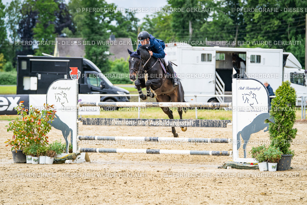 DSC04178 | Pferdegrafie