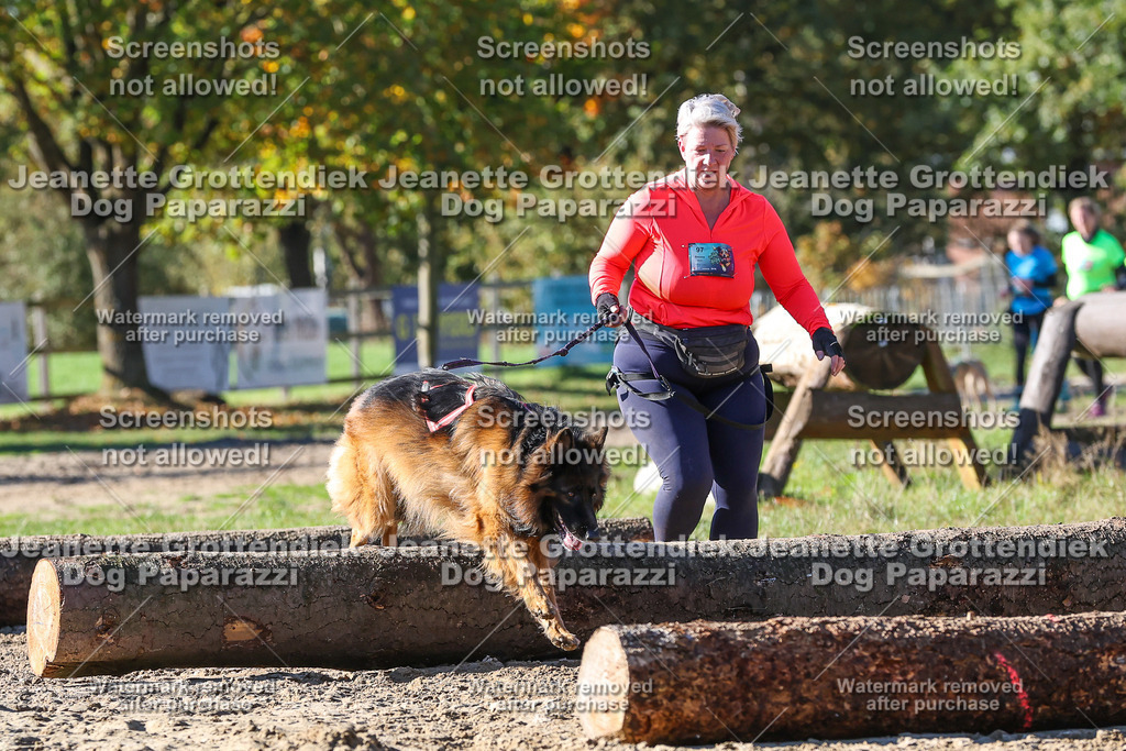 Dog Paparazzi - Strongdog 10-25-2631 | Dog Paparazzi Jeanette Grottendiek Fotografie & Videografie - Realisiert mit Pictrs.com