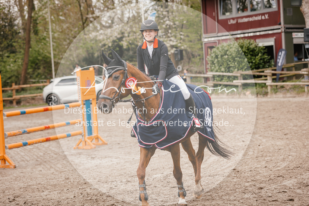 3I6A4454 | Stimmungsvolle Portraits und Reitsportfotografie im Ruhrgebiet und im Münsterland.

Pferdefotografie, Hundefotografie, Tierfotografie, Reportagen, Portraits von Tier und Mensch, Turnierfotografie in Bochum, Recklinghausen, Marl, Haltern am See, Dülmen.. - Realisiert mit Pictrs.com